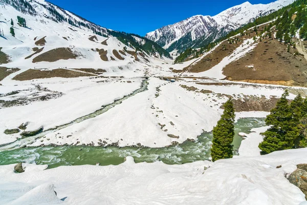 美丽的河流和白雪覆盖的高山风景 — 图库照片#