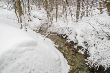 Onsen Nehri Japonya 'daki kasabadan akar. .