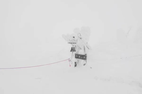 雪のモンスター エリア山蔵王、日本 . — ストック写真