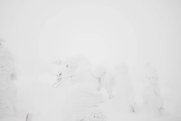 Zone des monstres des neiges Mountain Zao, Japon  . — Photo