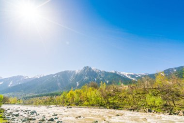 Güzel nehir ve karla kaplı dağlar