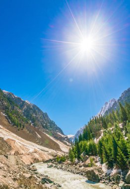 Güzel nehir ve karla kaplı dağlar 