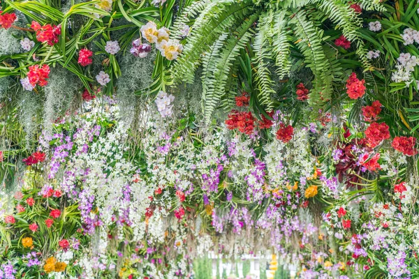 Vackra blommor bakgrund — Stockfoto