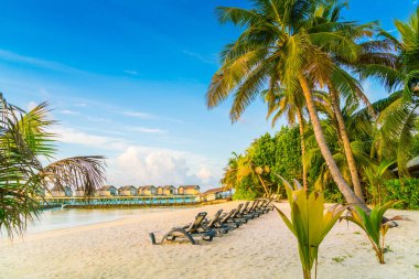 Plaj sandalyeleri Maldivler Island ile güneşin doğuşunu, su Villa