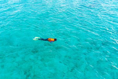 Tropikal Maldivler Adası dalış .