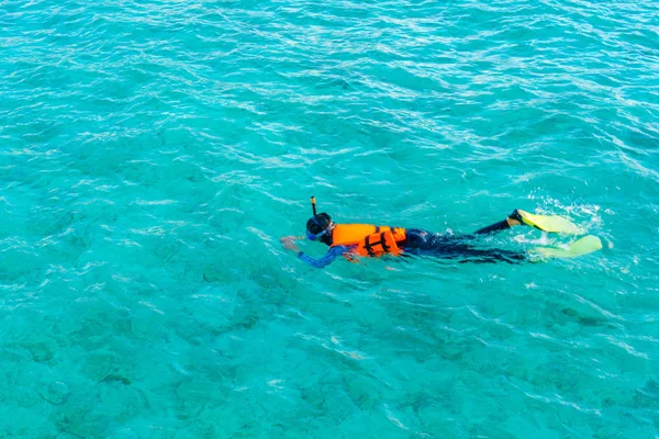 Tropikal Maldivler Adası dalış .