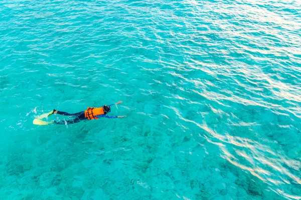 Tropikal Maldivler Adası dalış .