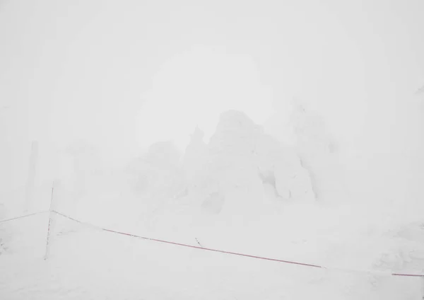 Sněhové příšery oblast Mountain Zao, Japonsko . — Stock fotografie