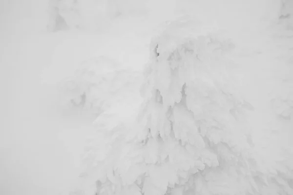 Hó szörnyek terület hegyi Zao, Japán . — Stock Fotó