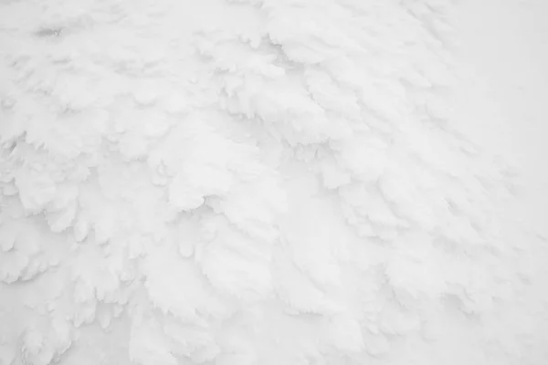 Zona de monstruos de nieve Mountain Zao, Japón  . — Foto de Stock