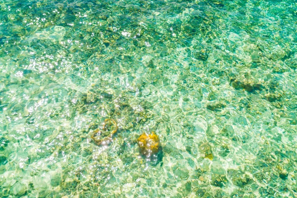 Top view of the sea with the coral reefs at Maldives island . — Stock Photo, Image