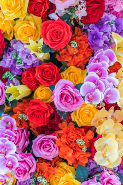 Güzel Çiçekler arka planı