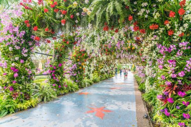 Güzel Çiçekler arka planı