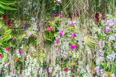 Güzel Çiçekler arka planı