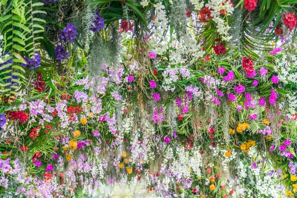 Vackra blommor bakgrund — Stockfoto