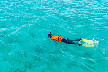 Tropikal Maldivler Adası dalış .