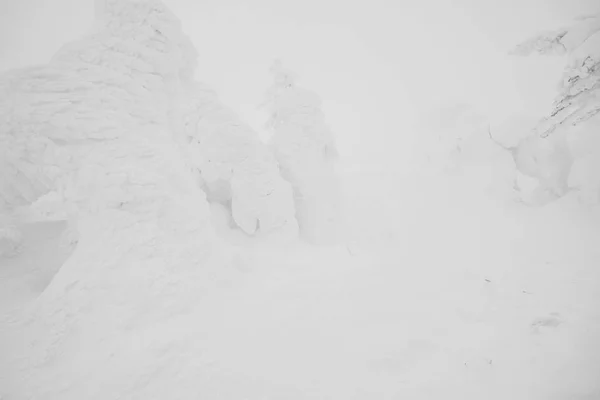 Área de Monstros da Neve Montanha Zao, Japão  . — Fotografia de Stock