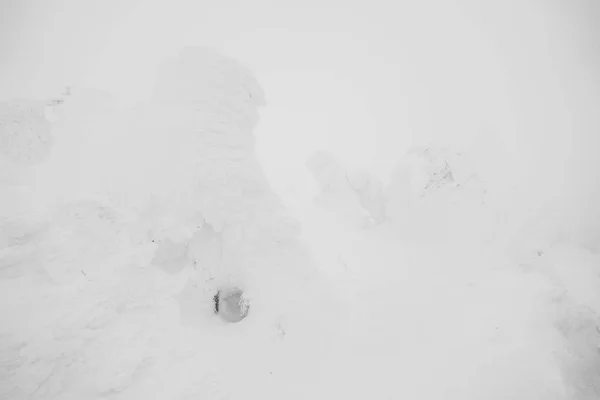 Área de Monstros da Neve Montanha Zao, Japão  . — Fotografia de Stock