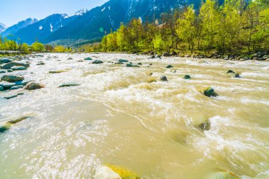 Güzel nehir ve kar kaplı dağlar manzara Kashmir st