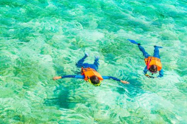 Tropikal Maldivler adada çift şnorkel .