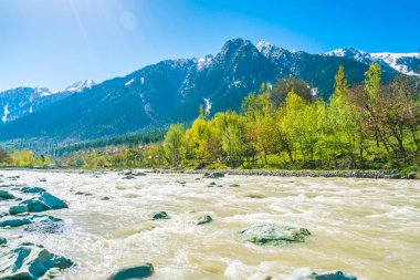 Güzel nehir ve kar kaplı dağlar manzara Kashmir st