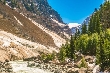 Güzel nehir ve kar kaplı dağlar manzara Kashmir st