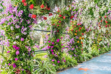 Güzel Çiçekler arka planı