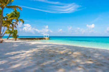 Güzel tropikal Maldivler ada beyaz kumlu plaj ve se ile