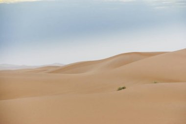 Merzouga çöl Fas