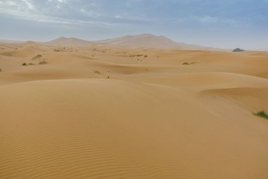 Merzouga çöl Fas