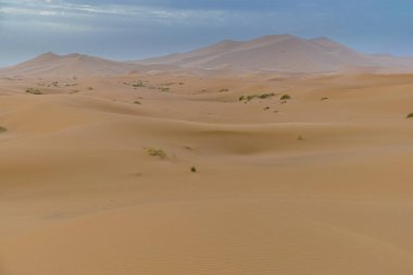 Merzouga çöl Fas