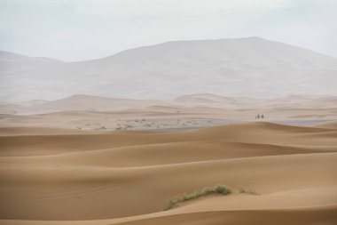 Merzouga çöl Fas