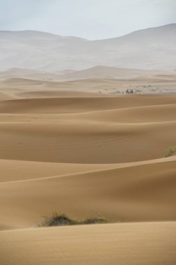 Merzouga çöl Fas