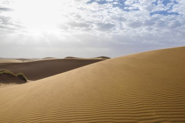 Merzouga çöl Fas
