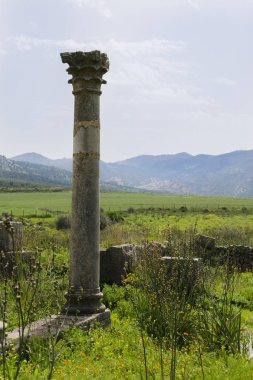 Roma şehir Volubilis, Fas