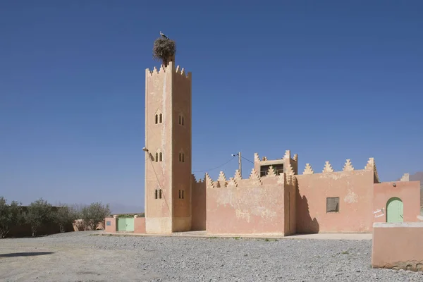 Mezquita Rosa Con Nido Cigüeña — Foto de Stock