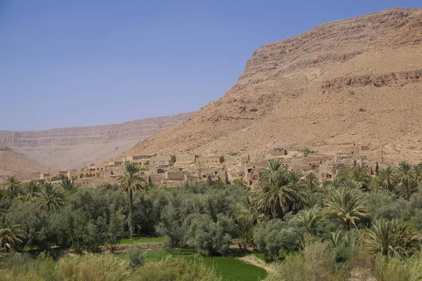 Oasis Marruecos Central — Foto de Stock