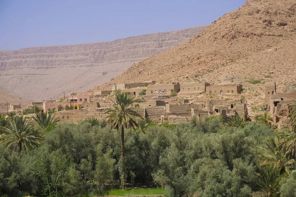 Oasis Marruecos Central — Foto de Stock