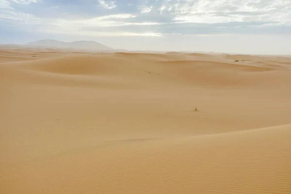 Merzouga Marokkó Sivatagban — Stock Fotó