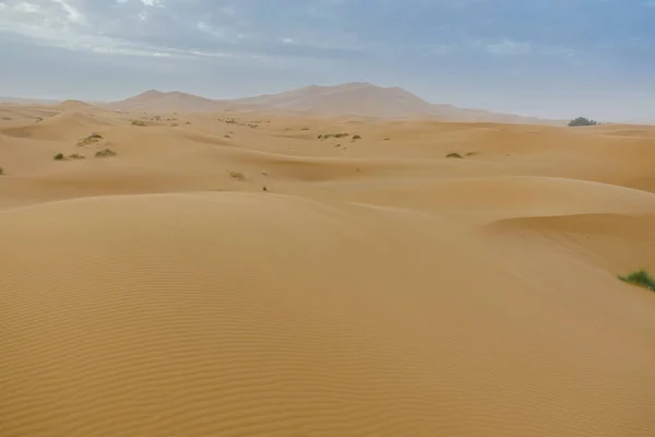 Merzouga Pustyni Maroko — Zdjęcie stockowe