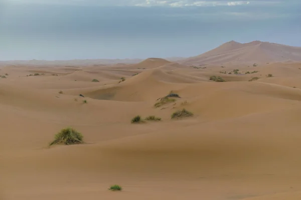 Deserto Merzouga Marocco — Foto Stock