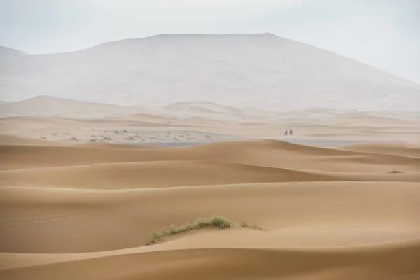 Desierto Merzouga Marruecos —  Fotos de Stock
