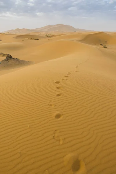 Desierto Merzouga Marruecos — Foto de Stock