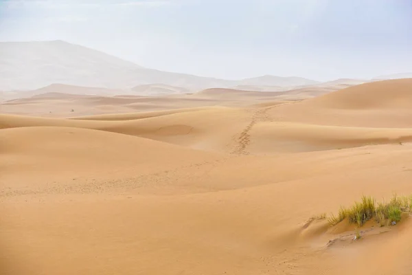 Merzouga Pustyni Maroko — Zdjęcie stockowe