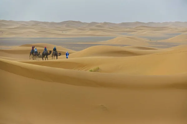 Turist Dromeraries Merzouga Çölde — Stok fotoğraf