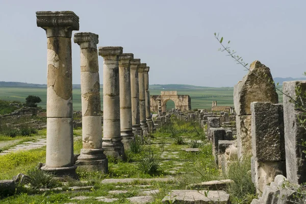 Romeinse Stad Van Volubilis Marokko — Stockfoto