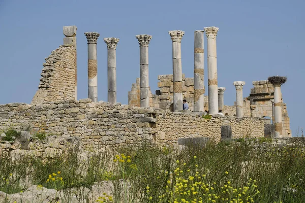 Romeinse Stad Van Volubilis Marokko — Stockfoto