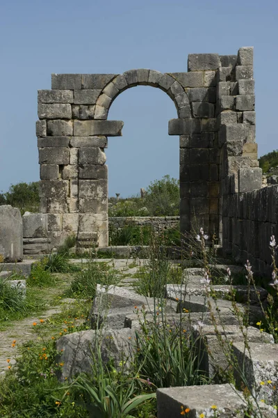 Római Város Volubilis Marokkó — Stock Fotó