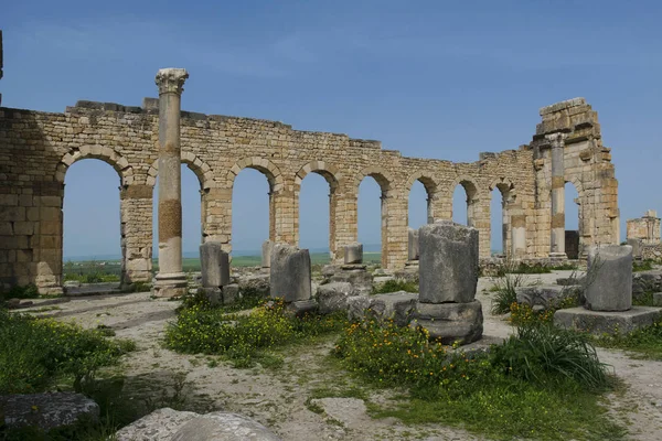 Roma Şehir Volubilis Fas — Stok fotoğraf