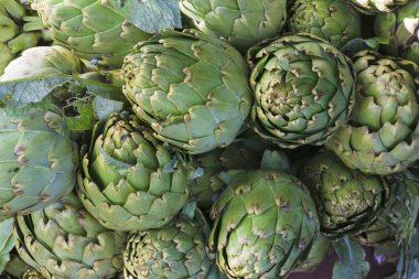 Enginar, güzel ve büyük grup